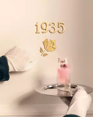 Fragrance Finder